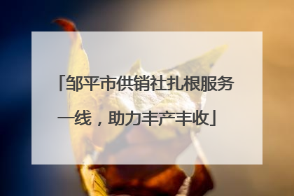 邹平市供销社扎根服务一线，助力丰产丰收