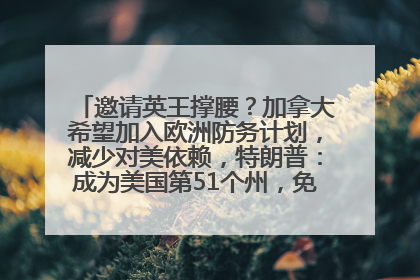 邀请英王撑腰？加拿大希望加入欧洲防务计划，减少对美依赖，特朗普：成为美国第51个州，免费用“金穹”
