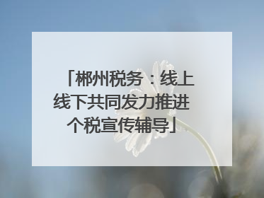 郴州税务：线上线下共同发力推进个税宣传辅导