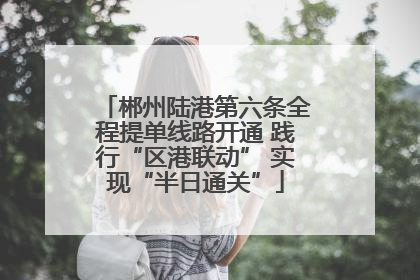 郴州陆港第六条全程提单线路开通 践行“区港联动” 实现“半日通关”