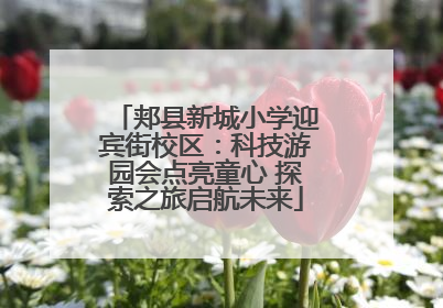 郏县新城小学迎宾街校区：科技游园会点亮童心 探索之旅启航未来