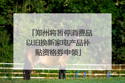 郑州将暂停消费品以旧换新家电产品补贴资格券申领