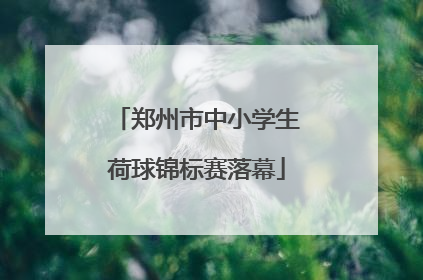 郑州市中小学生荷球锦标赛落幕