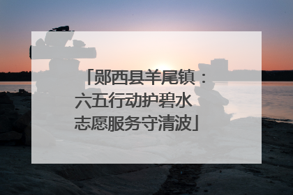 郧西县羊尾镇：六五行动护碧水 志愿服务守清波