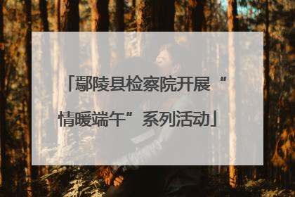鄢陵县检察院开展“情暖端午”系列活动
