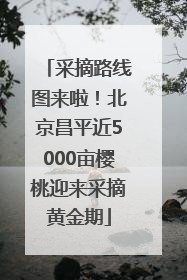采摘路线图来啦！北京昌平近5000亩樱桃迎来采摘黄金期