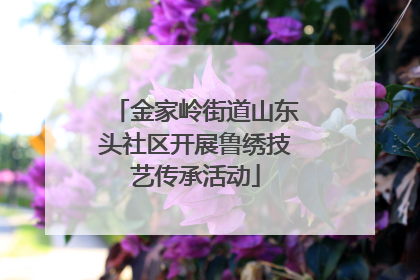 金家岭街道山东头社区开展鲁绣技艺传承活动