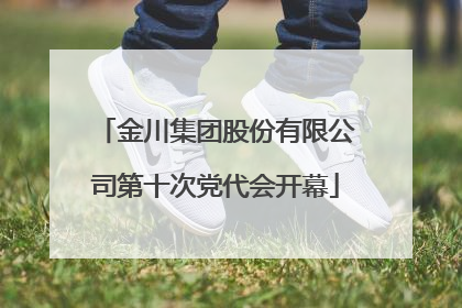 金川集团股份有限公司第十次党代会开幕