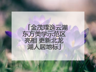 金茂璞逸云湖东方美学示范区亮相 更新北龙湖人居地标