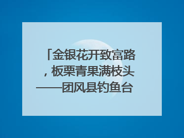 金银花开致富路，板栗青果满枝头——团风县钓鱼台村“山水生金”谱写共富新篇章