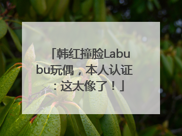 韩红撞脸Labubu玩偶，本人认证：这太像了！