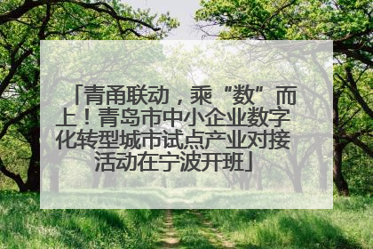 青甬联动，乘“数”而上！青岛市中小企业数字化转型城市试点产业对接活动在宁波开班