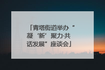 青塔街道举办“凝‘新’聚力·共话发展”座谈会