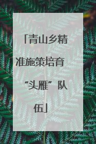 青山乡精准施策培育“头雁”队伍