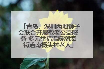 青岛、深圳两地狮子会联合开展敬老公益服务 多元举措温暖潮海街道南杨头村老人
