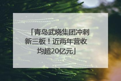 青岛武晓集团冲刺新三板！近两年营收均超20亿元
