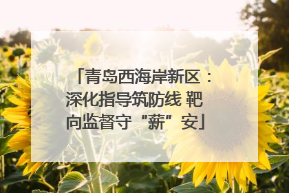 青岛西海岸新区：深化指导筑防线 靶向监督守“薪”安