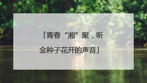 青春“湘”聚，听金种子花开的声音