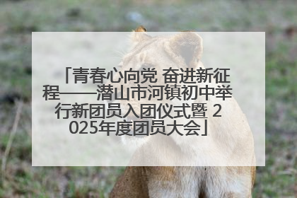 青春心向党 奋进新征程——潜山市河镇初中举行新团员入团仪式暨 2025年度团员大会