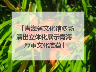 青海省文化馆多场演出立体化展示青海厚重文化底蕴