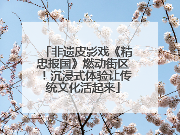 非遗皮影戏《精忠报国》燃动街区！沉浸式体验让传统文化活起来