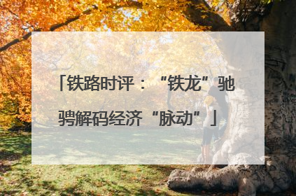 铁路时评：“铁龙”驰骋解码经济“脉动”
