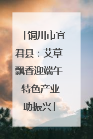 铜川市宜君县：艾草飘香迎端午 特色产业助振兴