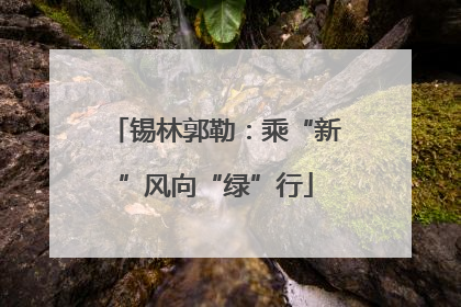 锡林郭勒：乘“新”风向“绿”行