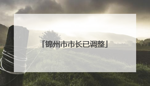 锦州市市长已调整