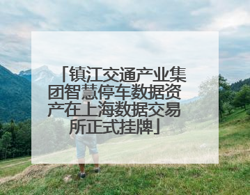镇江交通产业集团智慧停车数据资产在上海数据交易所正式挂牌