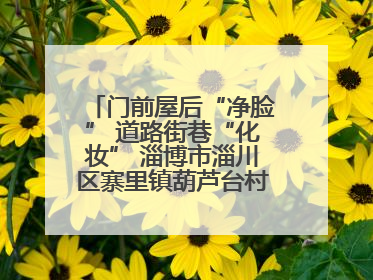 门前屋后“净脸” 道路街巷“化妆” 淄博市淄川区寨里镇葫芦台村的“美丽嬗变”