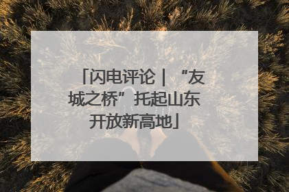 闪电评论｜“友城之桥”托起山东开放新高地