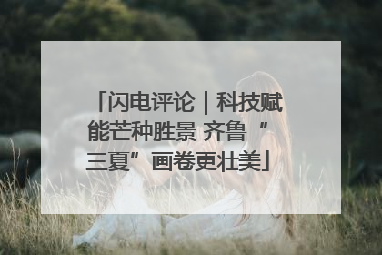 闪电评论｜科技赋能芒种胜景 齐鲁“三夏”画卷更壮美