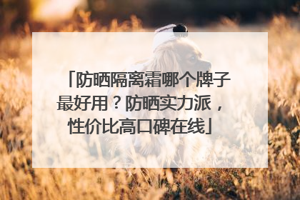 防晒隔离霜哪个牌子最好用？防晒实力派，性价比高口碑在线