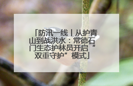 防汛一线丨从护青山到战洪水：常德石门生态护林员开启“双重守护”模式
