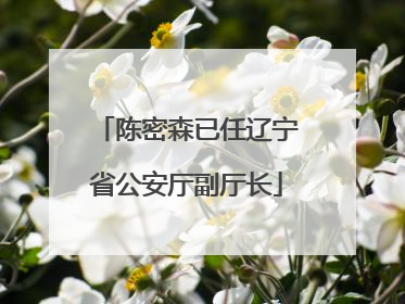 陈密森已任辽宁省公安厅副厅长