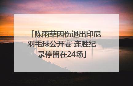 陈雨菲因伤退出印尼羽毛球公开赛 连胜纪录停留在24场