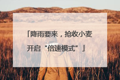 降雨要来，抢收小麦开启“倍速模式”