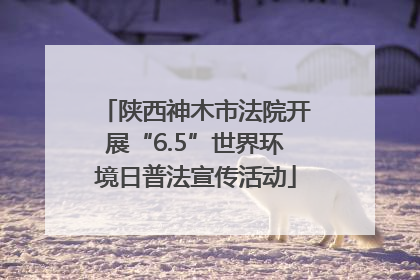 陕西神木市法院开展“6.5”世界环境日普法宣传活动