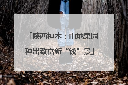 陕西神木：山地果园种出致富新“钱”景
