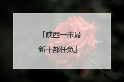 陕西一市最新干部任免