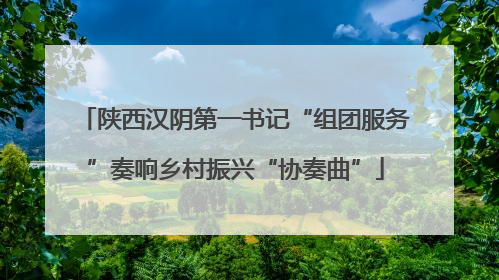 陕西汉阴第一书记“组团服务”奏响乡村振兴“协奏曲”