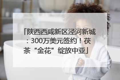 陕西西咸新区泾河新城：300万美元签约！茯茶“金花”绽放中亚