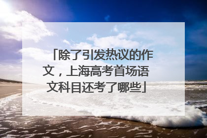 除了引发热议的作文，上海高考首场语文科目还考了哪些