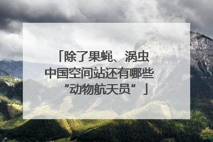 除了果蝇、涡虫 中国空间站还有哪些“动物航天员”