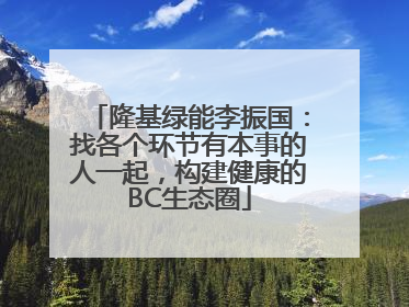 隆基绿能李振国：找各个环节有本事的人一起，构建健康的BC生态圈