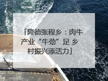 隆德张程乡：肉牛产业“牛劲”足 乡村振兴添活力
