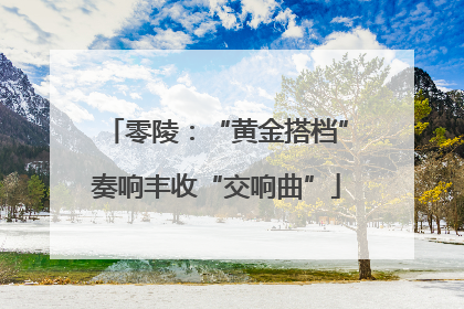 零陵：“黄金搭档”奏响丰收“交响曲”