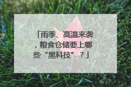雨季、高温来袭，粮食仓储要上哪些“黑科技”？