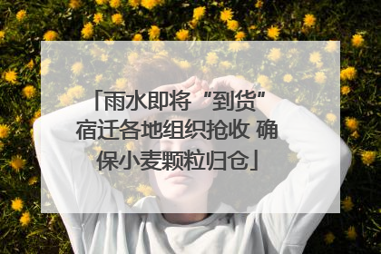 雨水即将“到货” 宿迁各地组织抢收 确保小麦颗粒归仓
